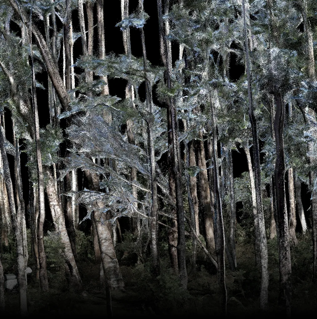 Forestry Resource Survey